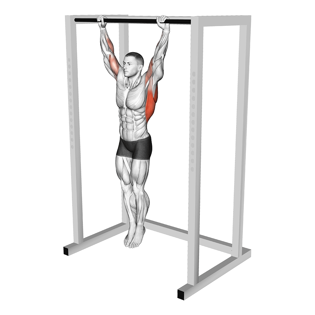 آویزان فعال (Active Hang) — حرکت پشت (آموزش تصویری)