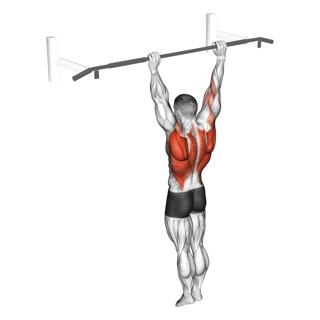 بارفیکس آرچر (Archer Pull Up) — حرکت زیربغل (آموزش تصویری)