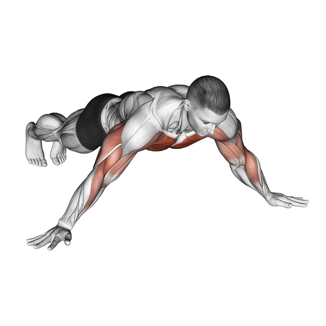 شنا آرچر (Archer Push Up) — حرکت سینه (آموزش تصویری)