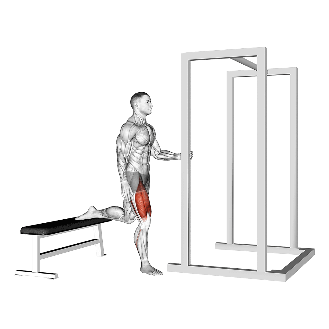 اسکوات بلغاری کمکی (Assisted Bulgarian Split Squat) — حرکت چهارسر (آموزش تصویری)