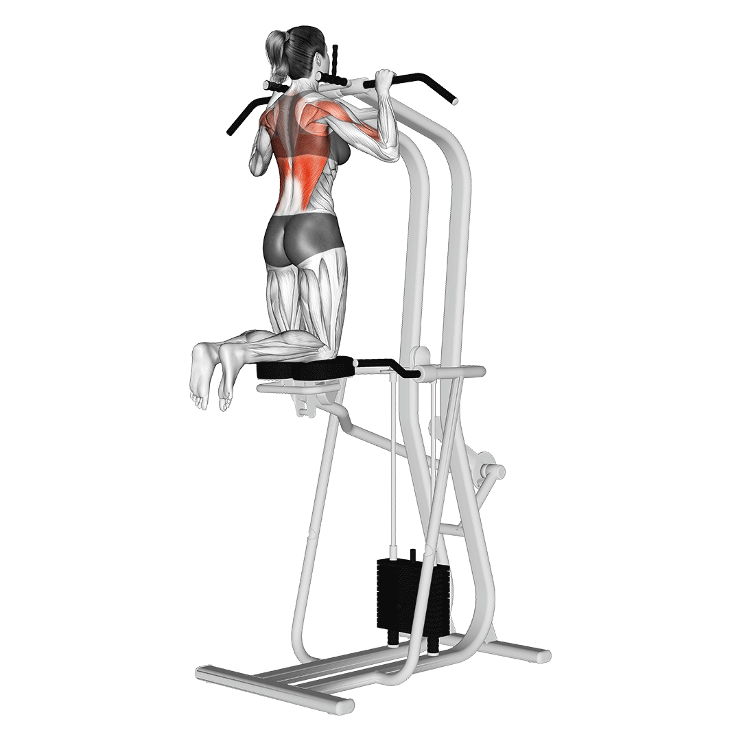 بارفیکس دستگاه کمکی (Assisted Pull Up Machine) — حرکت زیربغل (آموزش تصویری)