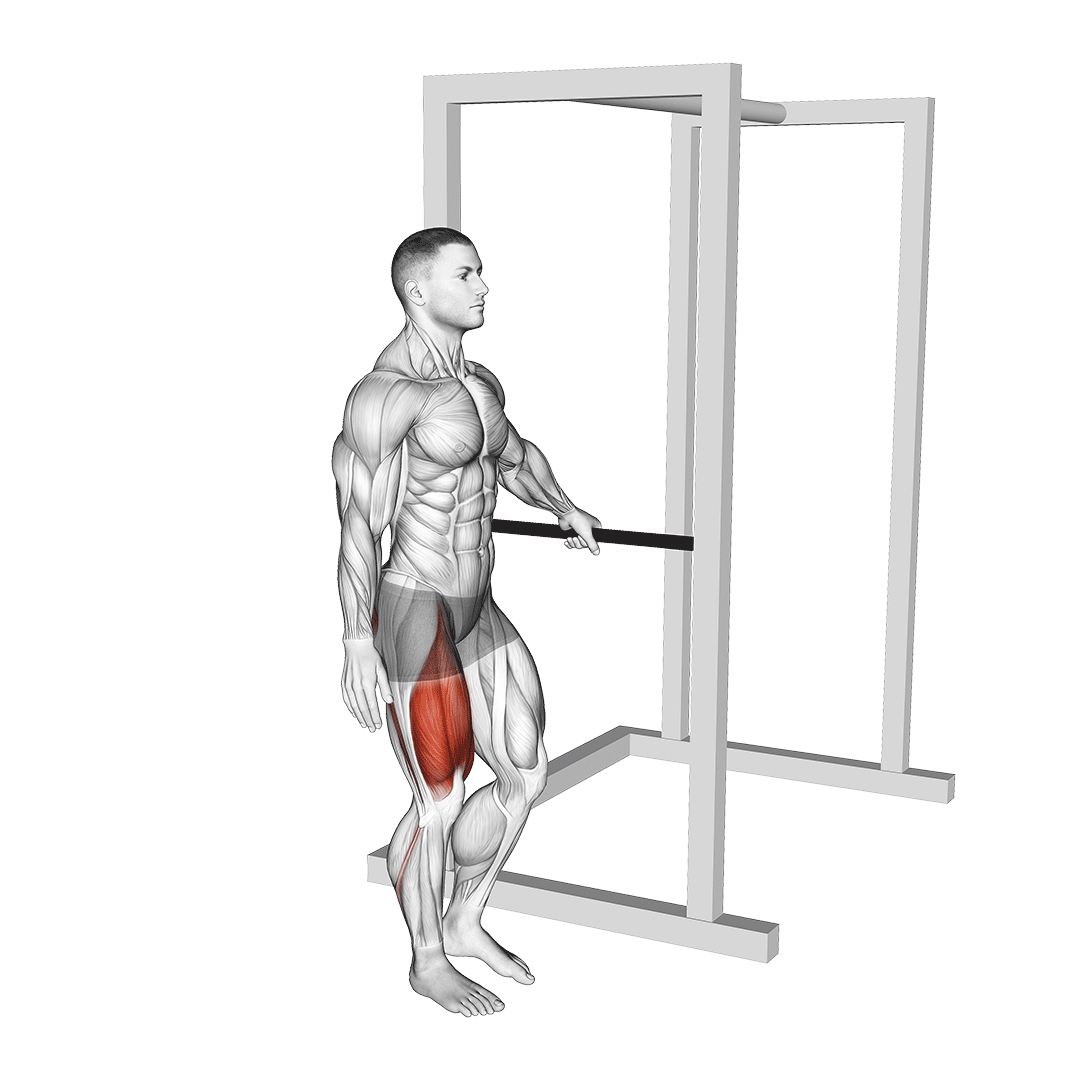 اسکوات تک‌پا کمکی (Assisted Single Leg Squat) — حرکت چهارسر (آموزش تصویری)