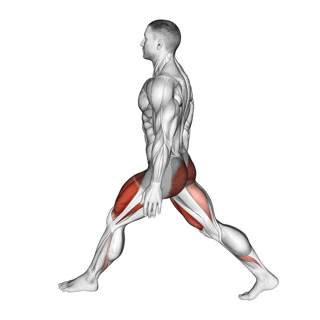 اسکات پا باز عمیق (ATG Split Squat) — حرکت چهارسر ران (آموزش تصویری)