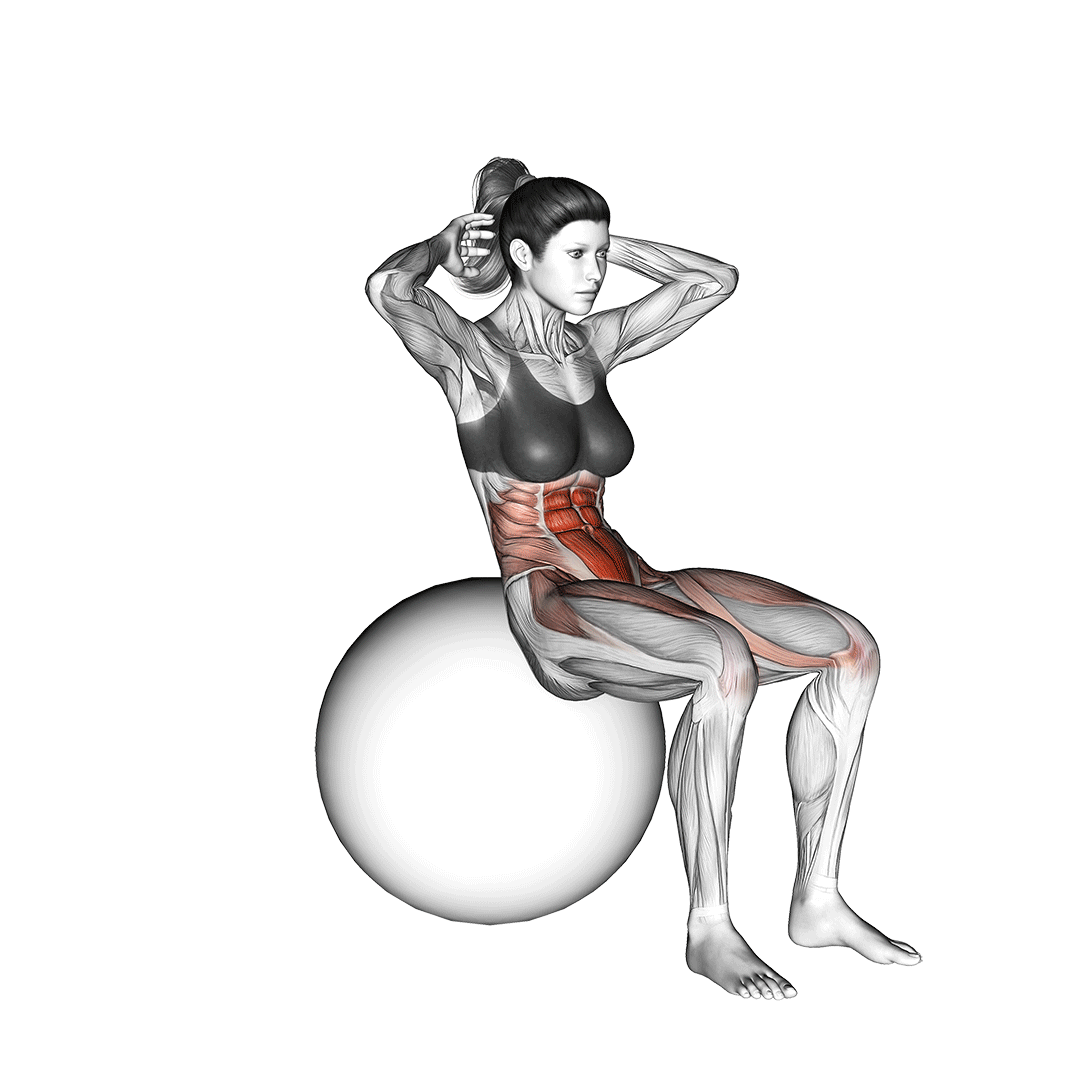 شکم روی توپ (Ball Sit Up) — حرکت شکم (آموزش تصویری)
