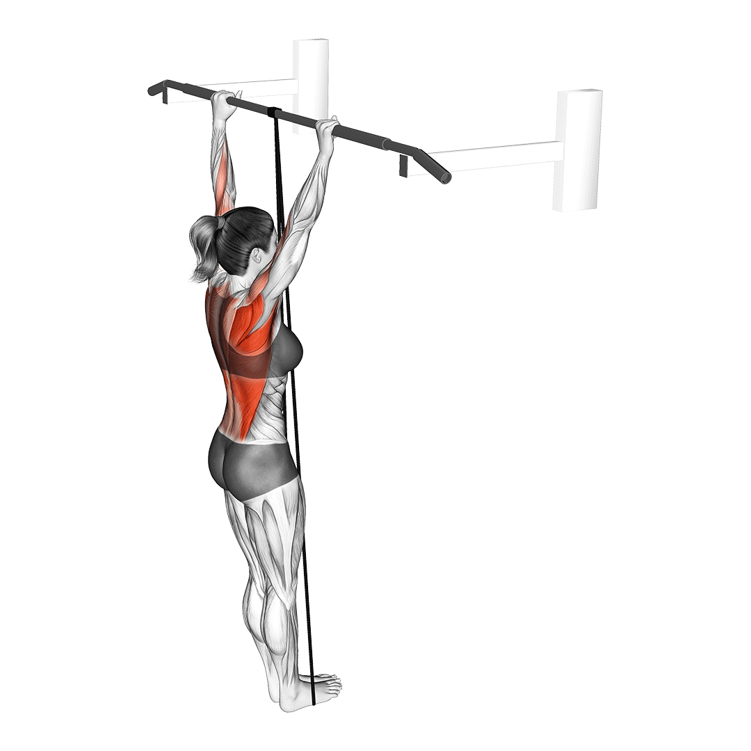 بارفیکس با کش (Band Assisted Pull Up) — حرکت زیربغل (آموزش تصویری)