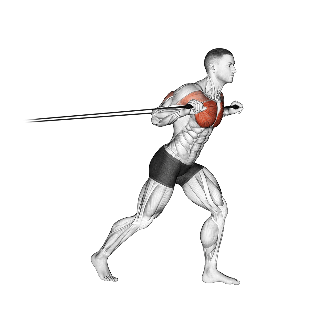 پرس سینه با کش (Band Chest Press) — حرکت سینه (آموزش تصویری)
