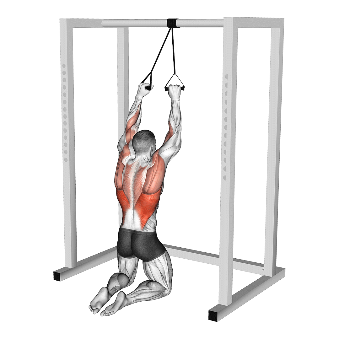 زیربغل سیم‌کش با کش (Band Lat Pulldown) — حرکت زیربغل (آموزش تصویری)
