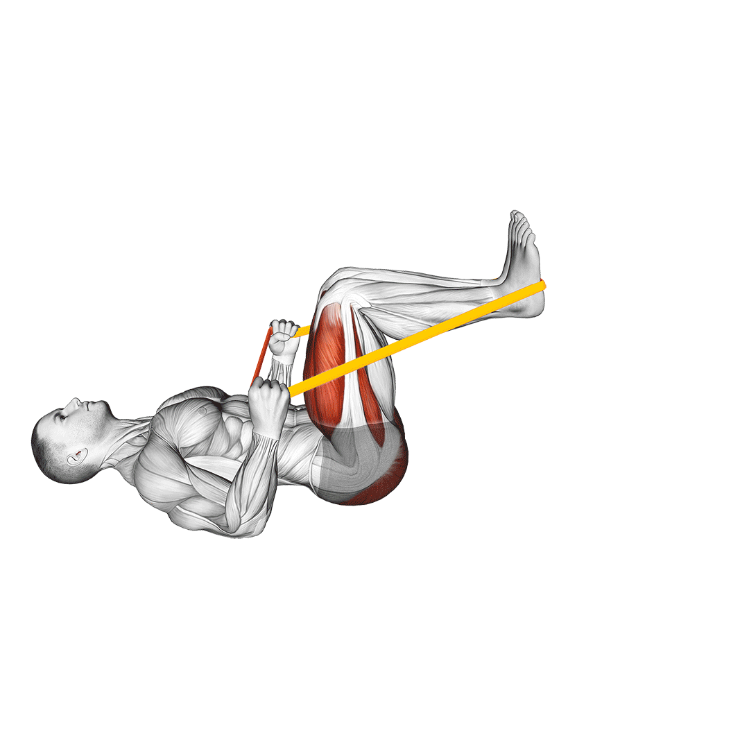 پرس پا با کش (Band Leg Press) — حرکت چهارسر (آموزش تصویری)