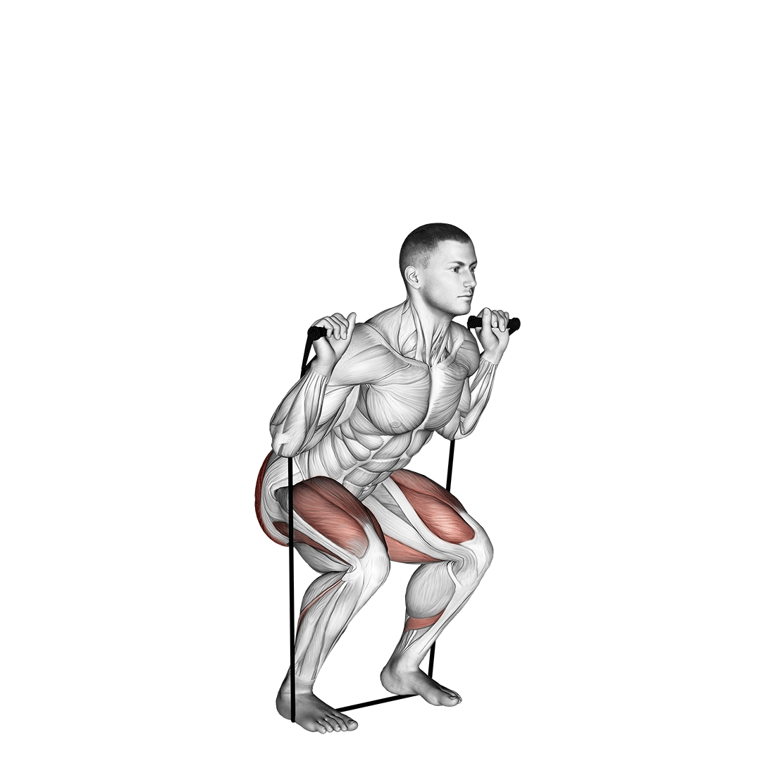 اسکوات با کش (Band Squat) — حرکت چهارسر ران (آموزش تصویری)
