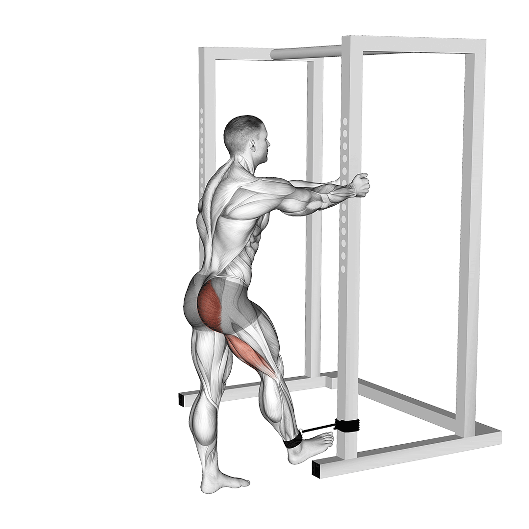 اکستنشن باسن ایستاده (Band Standing Hip Extension) — حرکت باسن (آموزش تصویری)