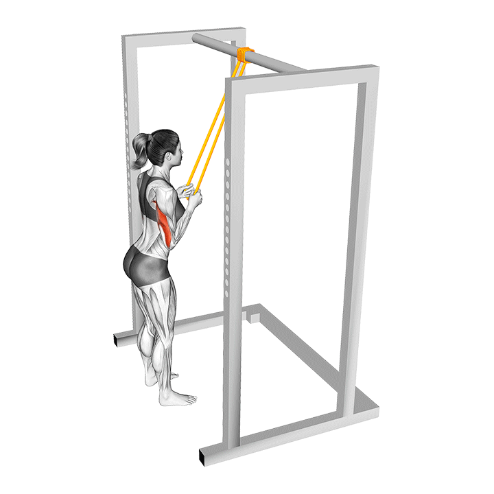 پشتبازو با کش (Band Tricep Pushdown) — حرکت پشتبازو (آموزش تصویری)