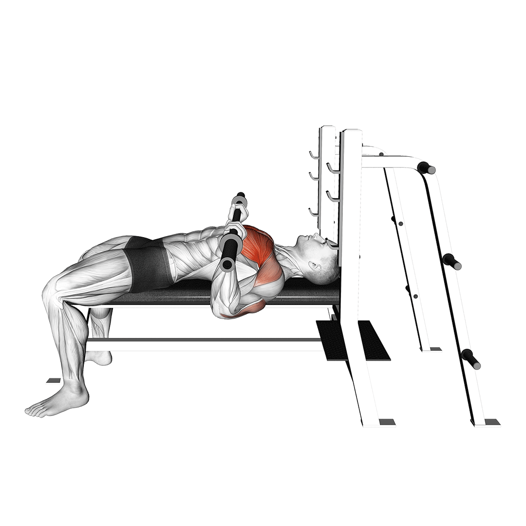 پرس سینه هالتر (Barbell Bench Press Side View) — حرکت سینه (آموزش تصویری)