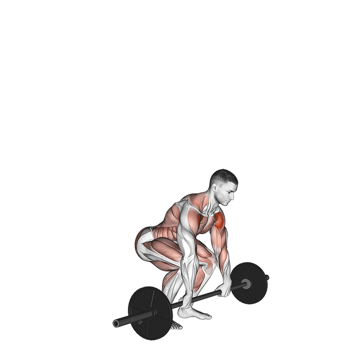 کلین و پرس هالتر (Barbell Clean And Press Muscles) — حرکت کل بدن (آموزش تصویری)