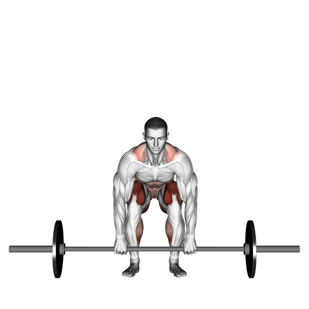 ددلیفت هالتر (Barbell Deadlift Front View) — حرکت پشت (آموزش تصویری)