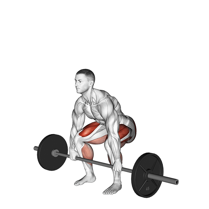 حرکت ددلیفت هالتر (Deadlift) — حرکت کمر (آموزش تصویری)