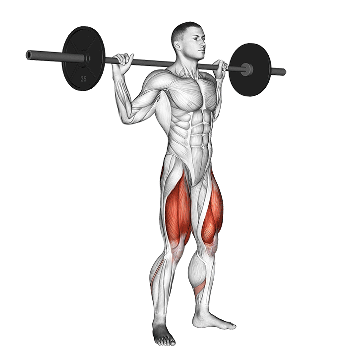 اسکوات کامل (Full Squat) — حرکت چهارسر ران (آموزش تصویری)