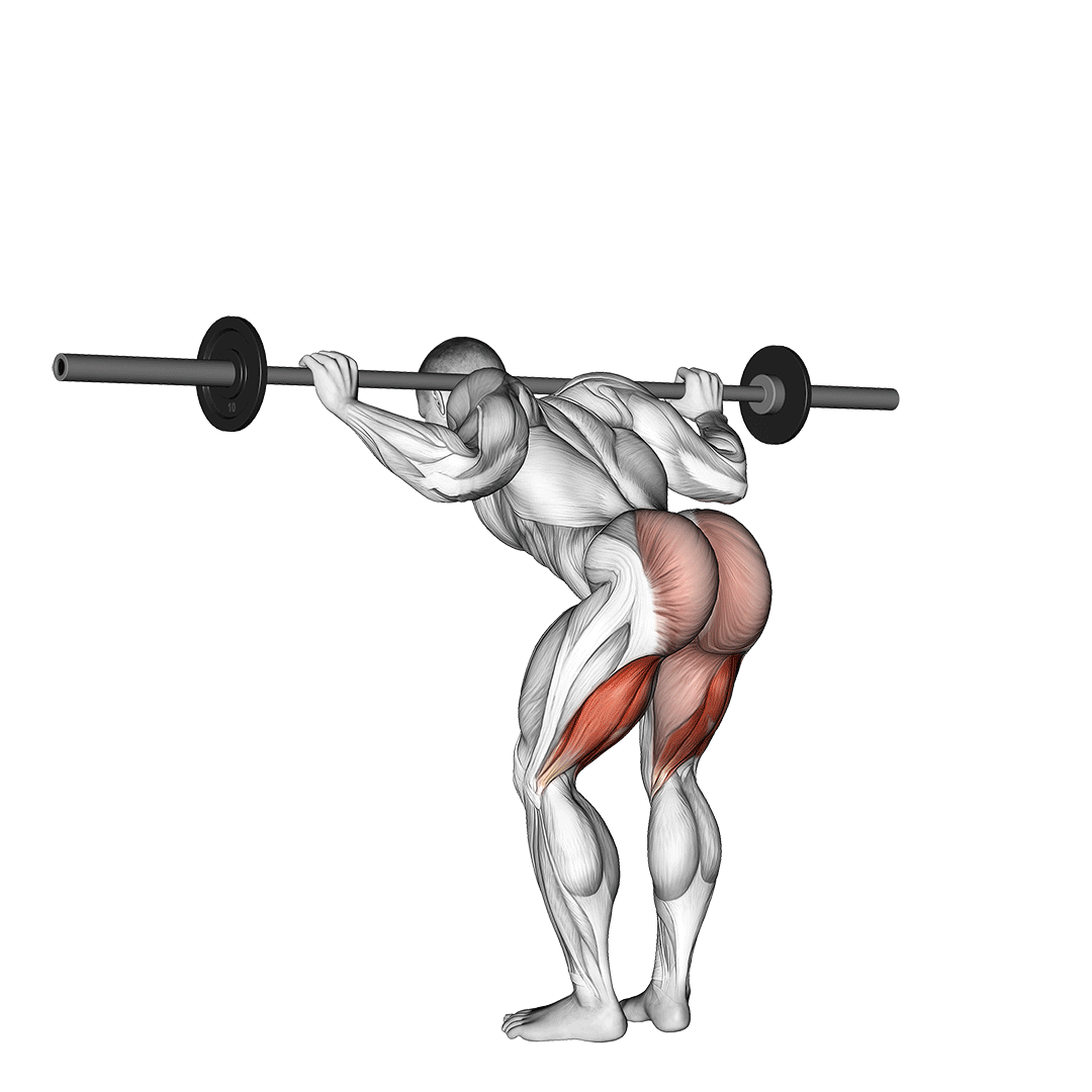 گود مورنینگ هالتر (Barbell Good Morning) — حرکت همسترینگ (آموزش تصویری)