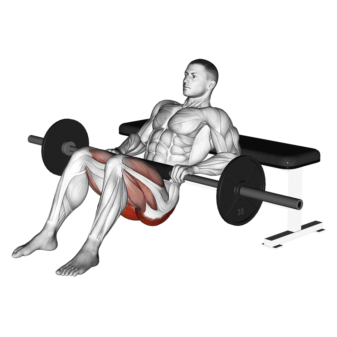 هیپ تراست هالتر (Hip Thrust) — حرکت باسن (آموزش تصویری)