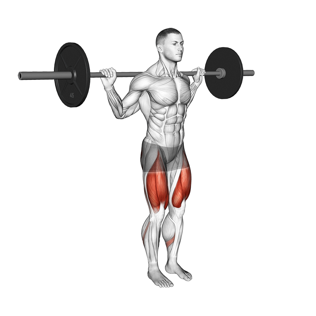 اسکوات پا جمع (Barbell Narrow Stance Squat) — حرکت چهارسر (آموزش تصویری)