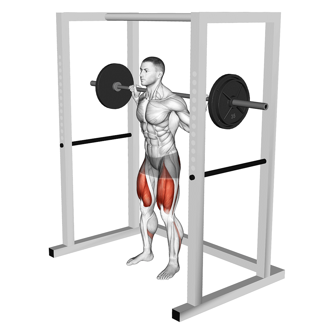 اسکوات در پین (Barbell Pin Squat) — حرکت چهارسر (آموزش تصویری)