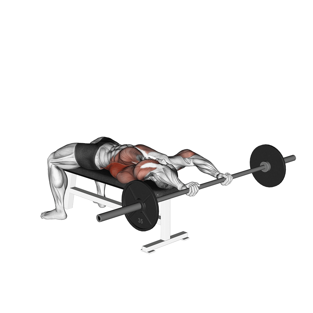 پولاور هالتر (Barbell Pullover) — حرکت زیربغل (آموزش تصویری)
