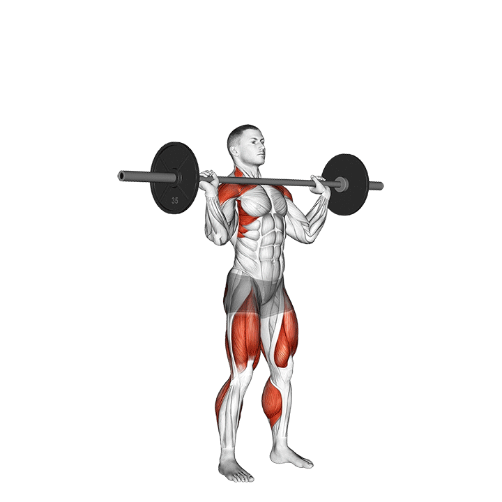 پوش جرک (Barbell Push Jerk Muscles) — حرکت سرشانه (آموزش تصویری)