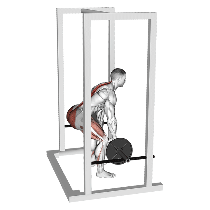 رک پول (Rack Pull) — حرکت کمر (آموزش تصویری)