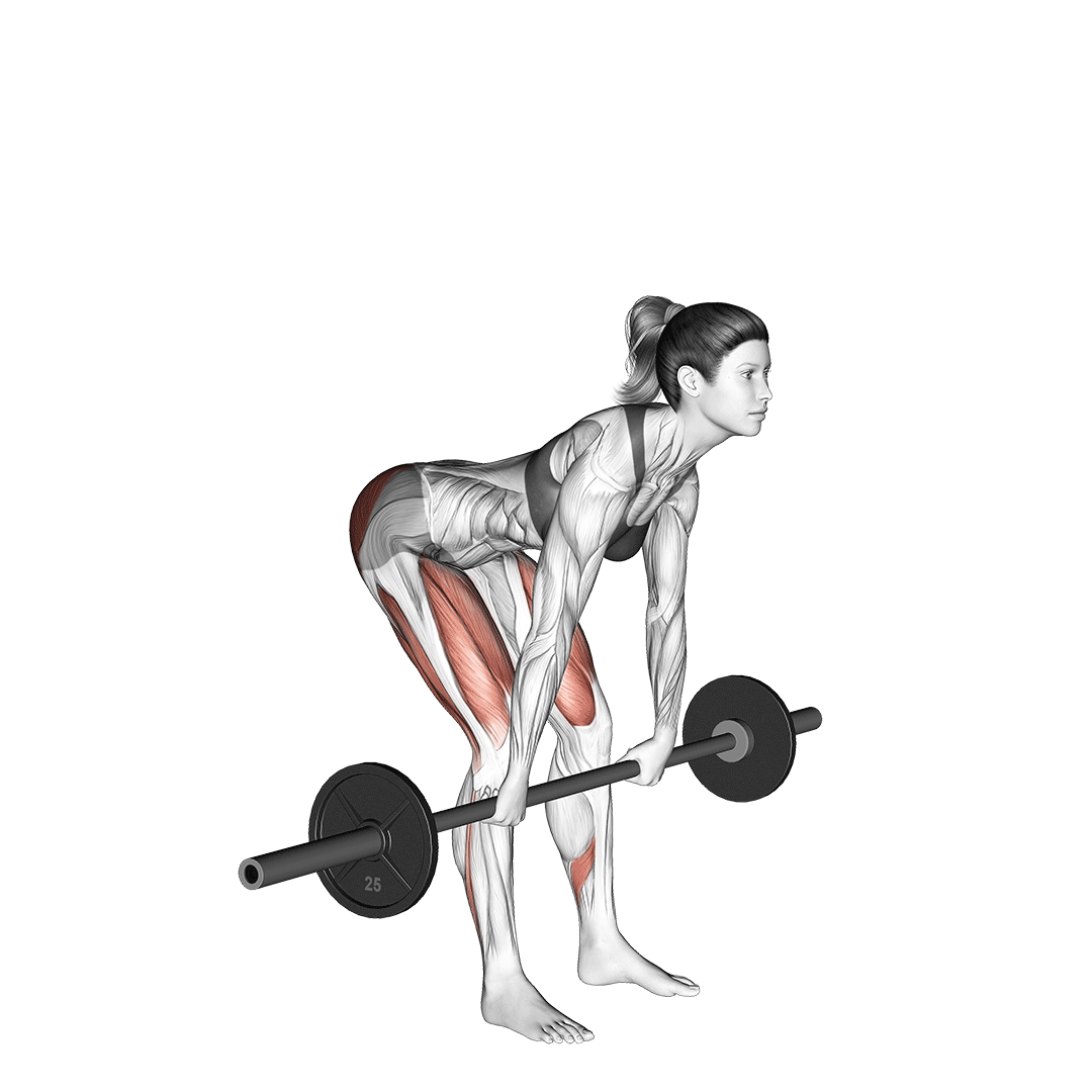 ددلیفت رومانیایی (Romanian Deadlift) — حرکت همسترینگ (آموزش تصویری)