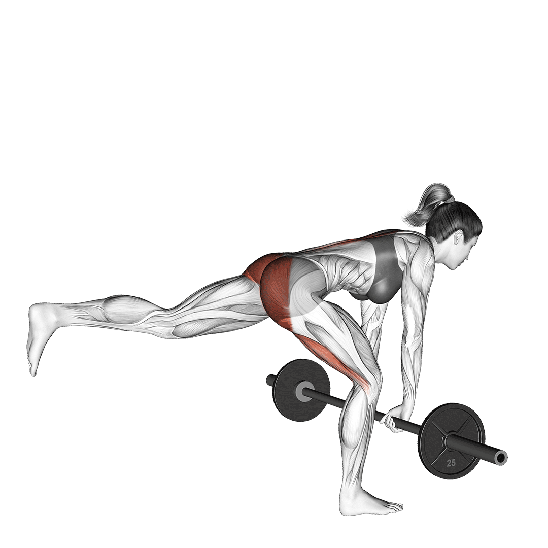 ددلیفت تک پا هالتر (Single Leg Deadlift) — حرکت همسترینگ (آموزش تصویری)