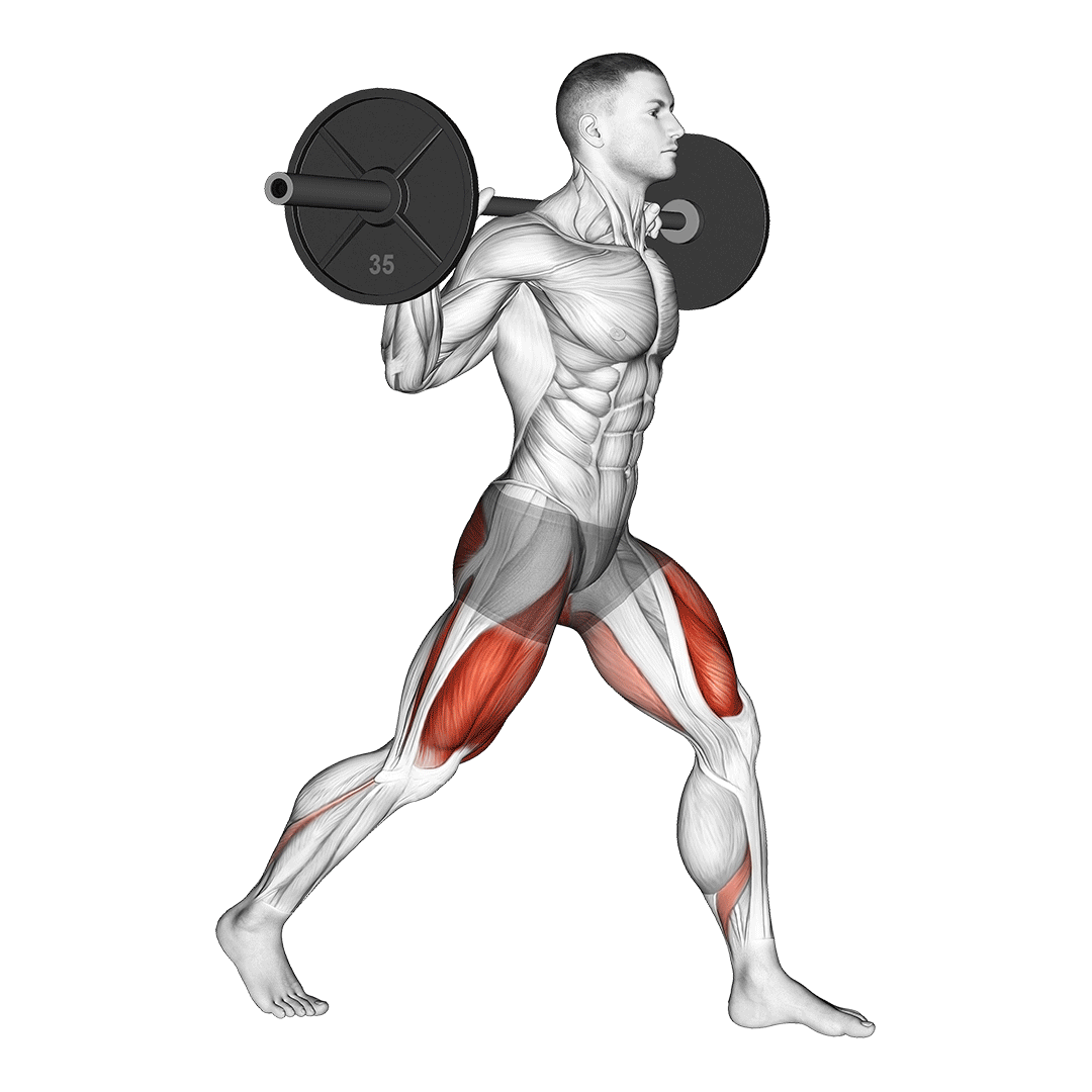 اسکوات بلغاری هالتر (Barbell Split Squat) — حرکت چهارسر ران (آموزش تصویری)