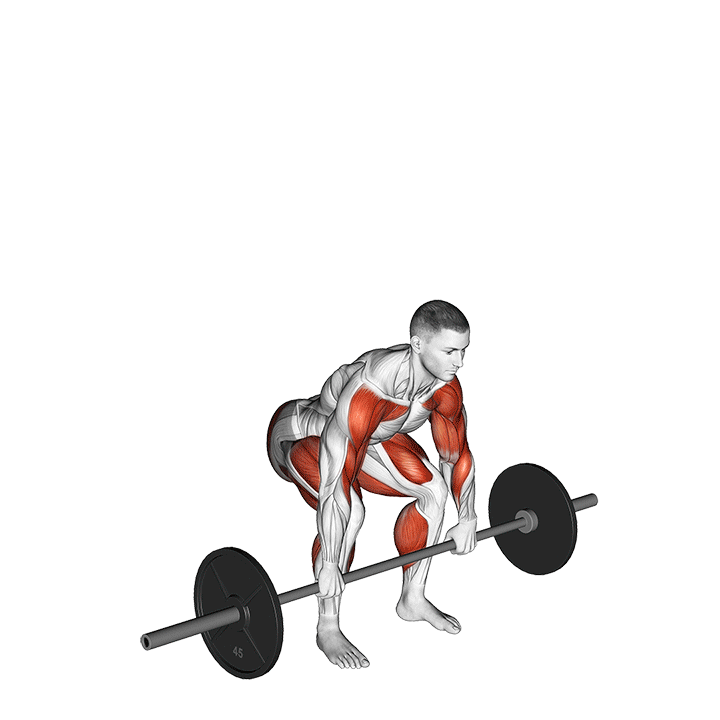 اسکوات کلین (Barbell Squat Clean) — حرکت کل بدن (آموزش تصویری)
