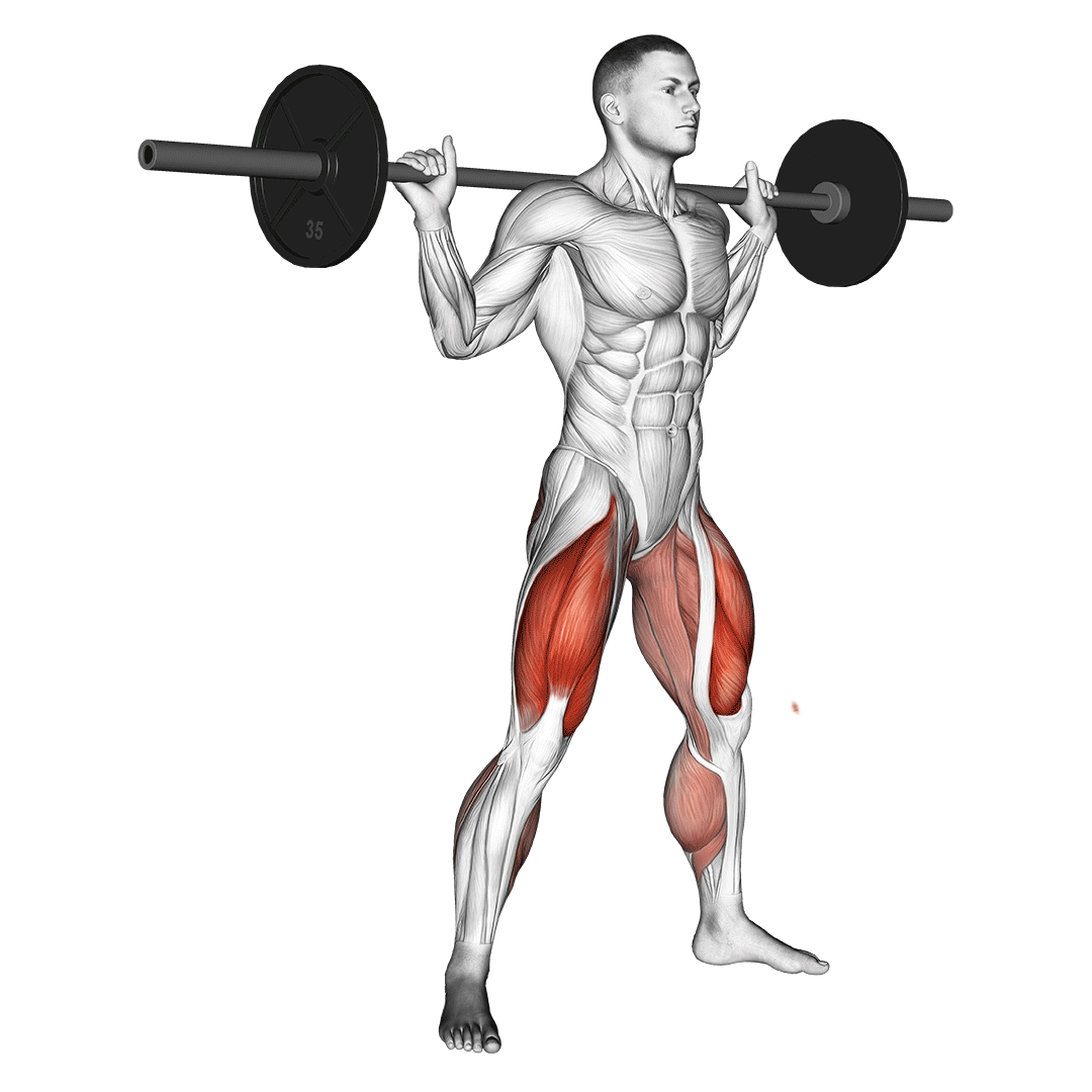 اسکوات سومو (Barbell Sumo Squat) — حرکت باسن (آموزش تصویری)