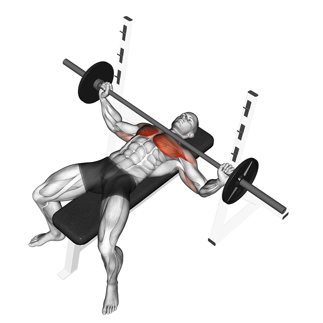 پرس سینه دست باز (Wide Grip Bench Press) — حرکت سینه (آموزش تصویری)