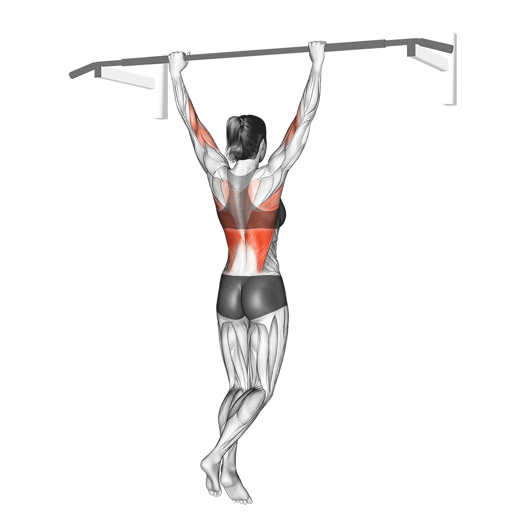 بارفیکس از پشت گردن (Behind The Neck Pull Up) — حرکت زیربغل (آموزش تصویری)