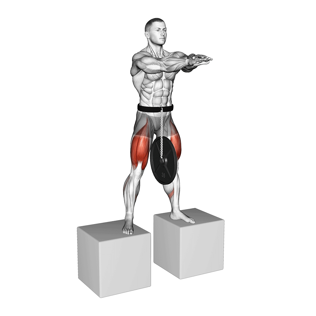 اسکوات با کمربند بین دو سکو (Belt Squat Between Boxes) — حرکت چهارسر (آموزش تصویری)