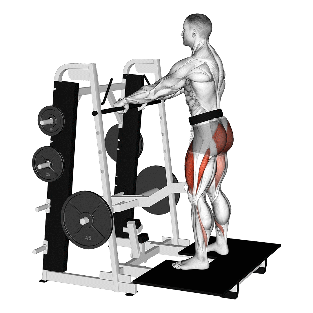 اسکوات کمربندی (Belt Squat) — حرکت چهارسر ران (آموزش تصویری)