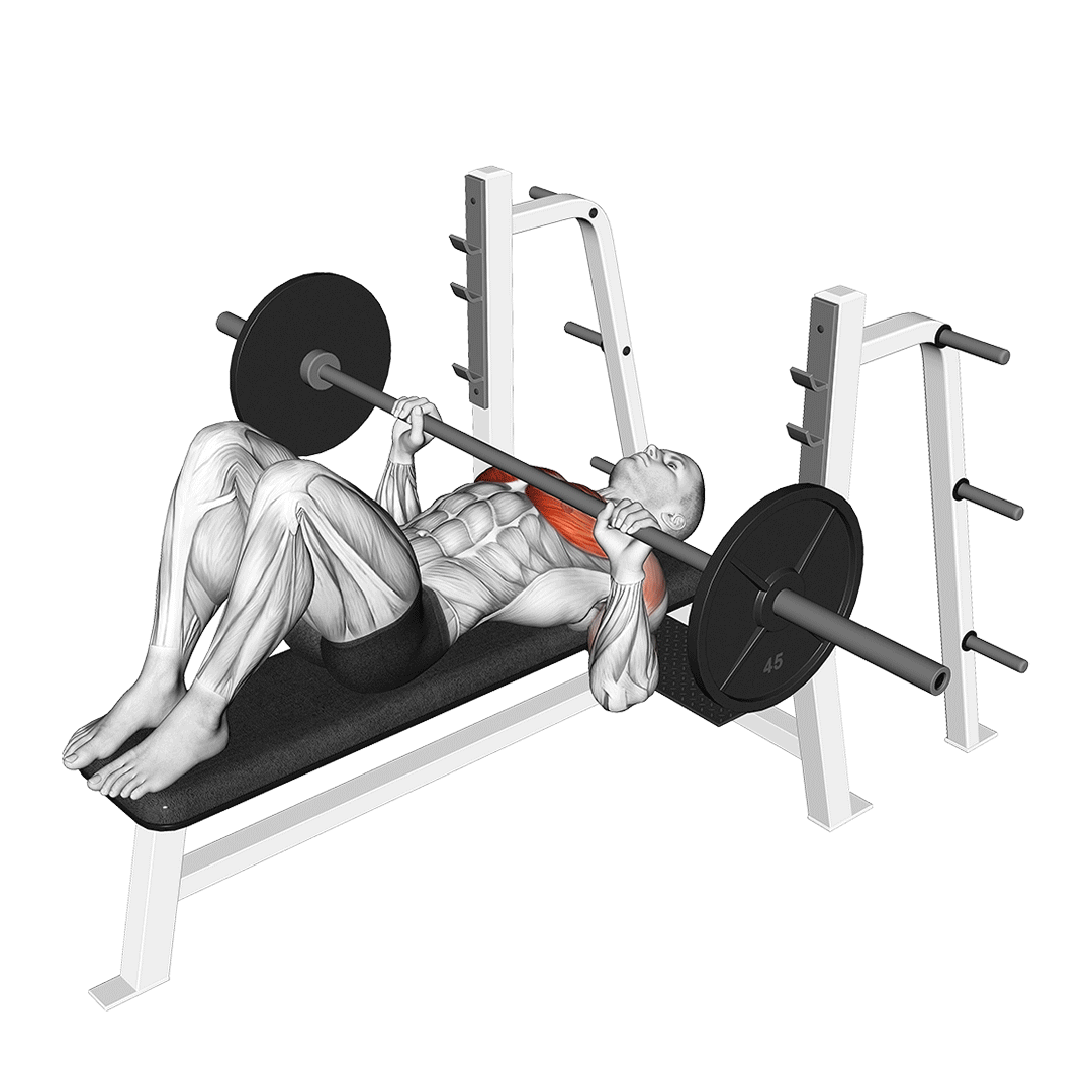 پرس سینه پا بالا (Bench Press Feet Up) — حرکت سینه (آموزش تصویری)