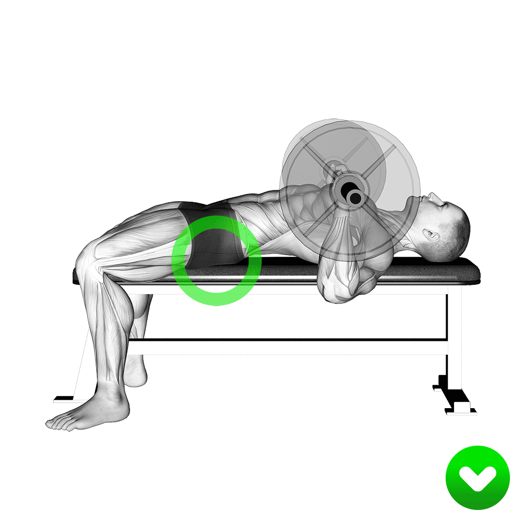 پرس سینه با پل باسن (Bench Press Glutes) — حرکت سینه (آموزش تصویری)