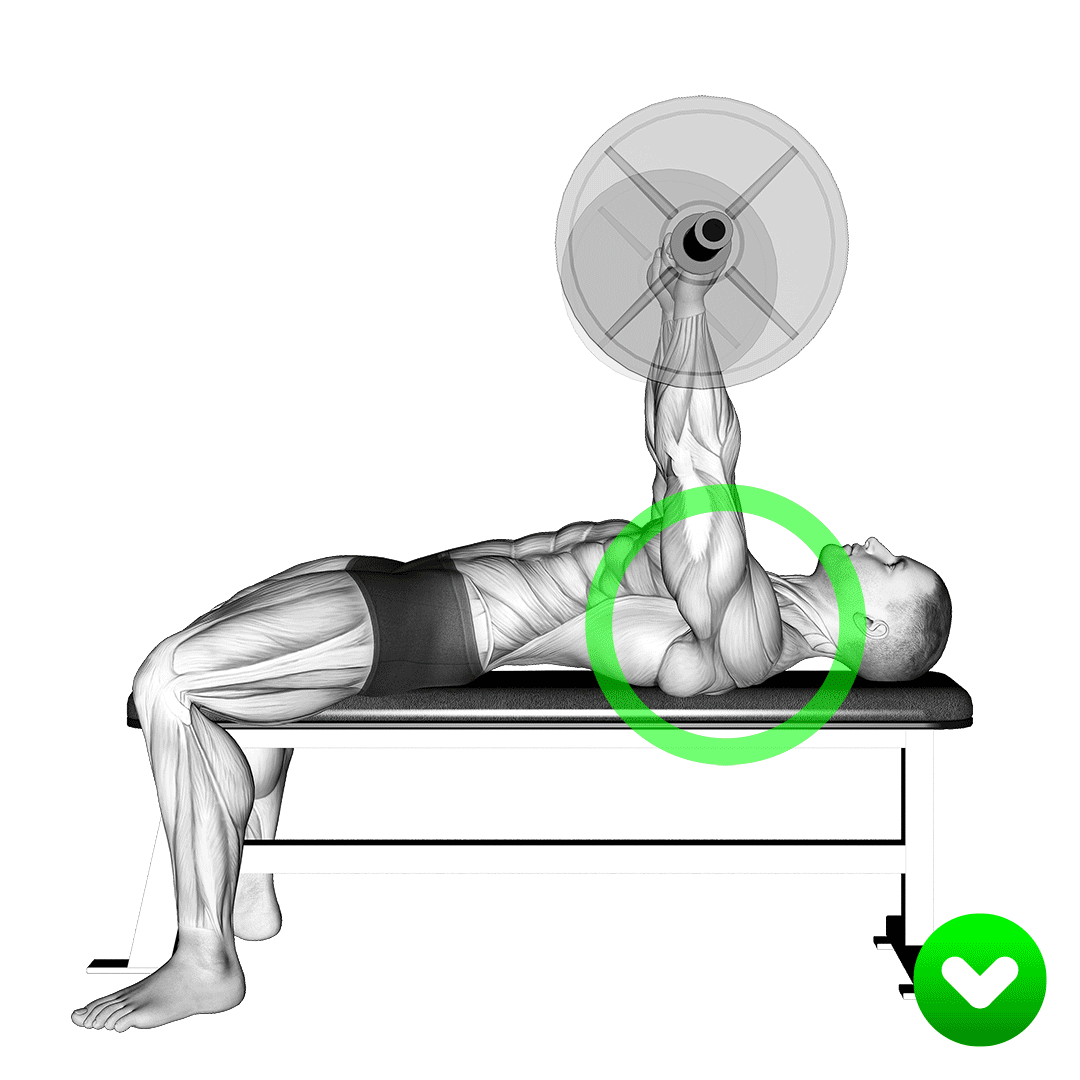 پرس سینه با درگیری سرشانه (Bench Press Shoulders) — حرکت سینه (آموزش تصویری)