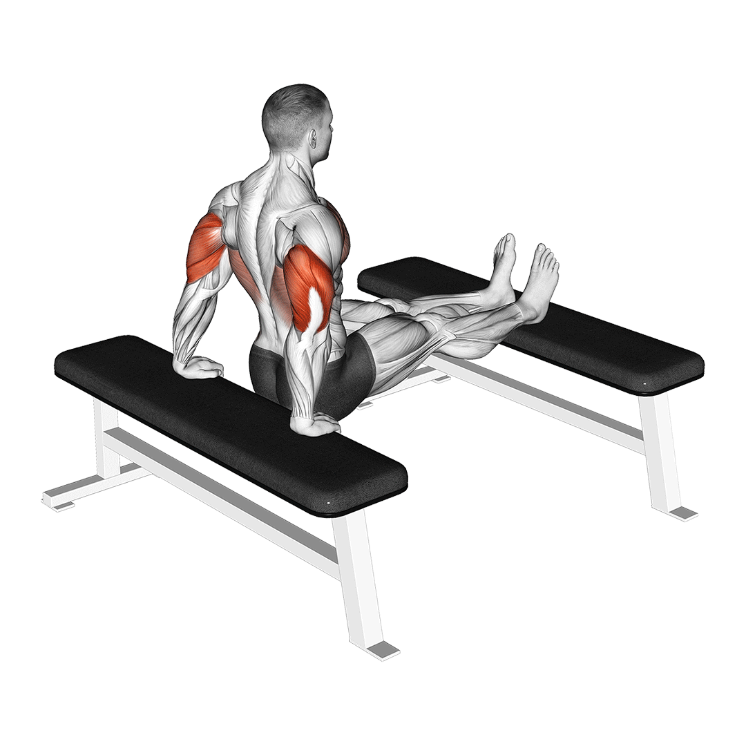 دیپ پشتبازو روی نیمکت (Bench Tricep Dips) — حرکت پشتبازو (آموزش تصویری)