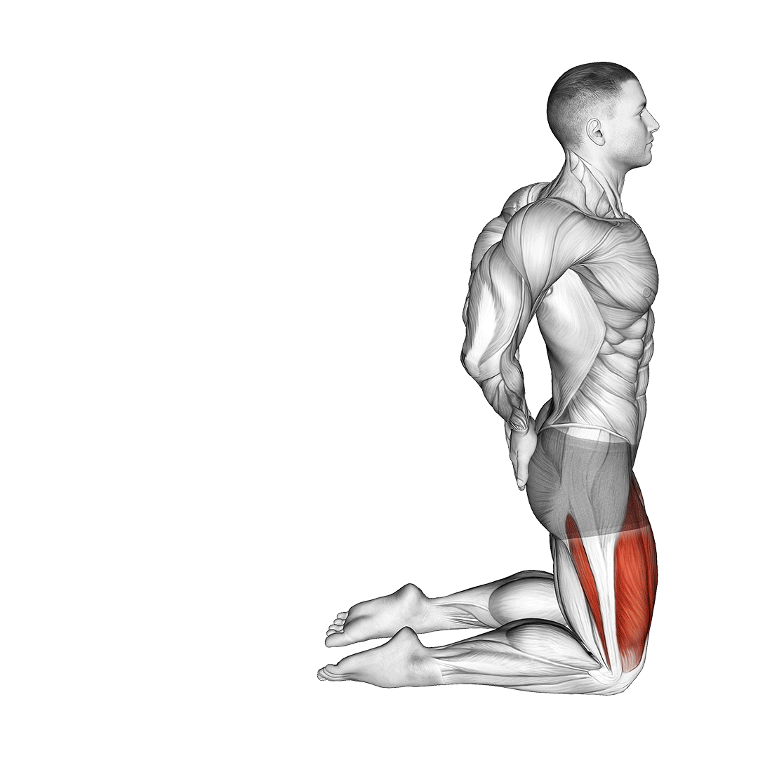سیسی اسکوات با وزن بدن (Bodyweight Sissy Squat) — حرکت چهارسر (آموزش تصویری)