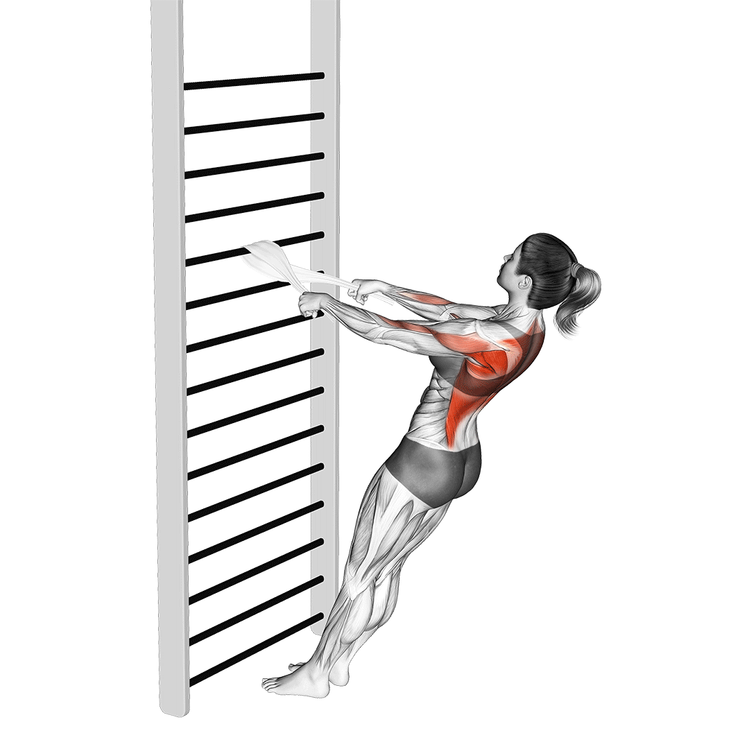 زیربغل با حوله (Bodyweight Towel Row) — حرکت زیربغل (آموزش تصویری)