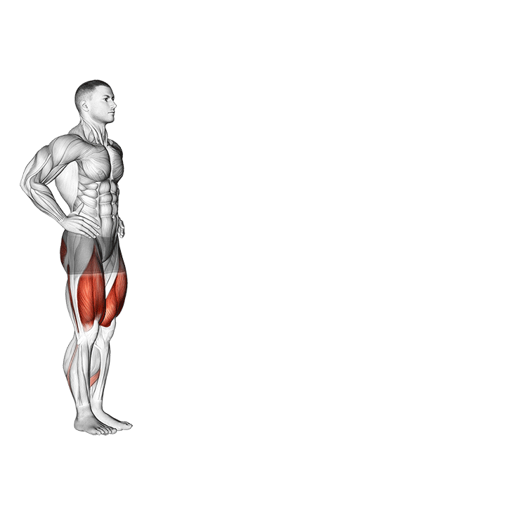 لانژ راه رفتنی (Bodyweight Walking Lunge Movement) — حرکت چهارسر (آموزش تصویری)