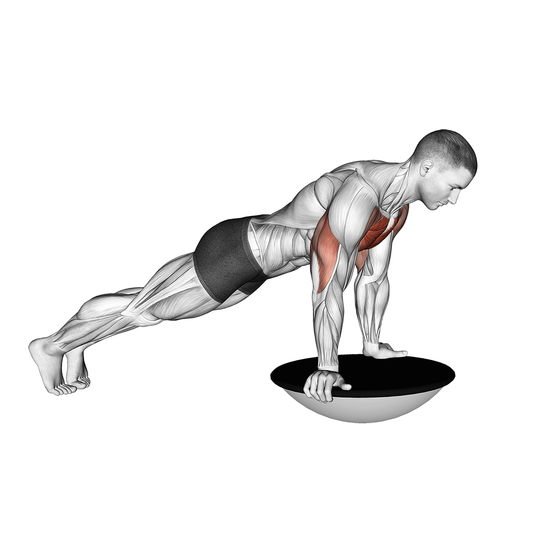 شنا روی بوسوبال (Bosu Ball Push Up) — حرکت سینه (آموزش تصویری)