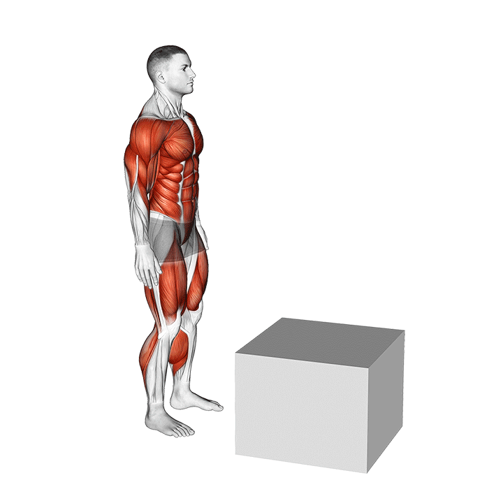پرش روی جعبه (Box Jump) — حرکت چهارسر ران (آموزش تصویری)