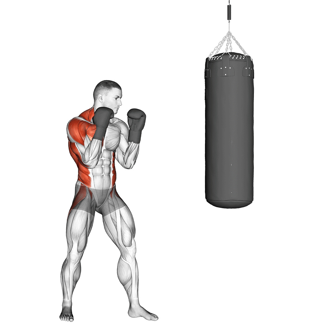 عضلات بوکس (Boxing Muscles) — حرکت کل بدن (آموزش تصویری)