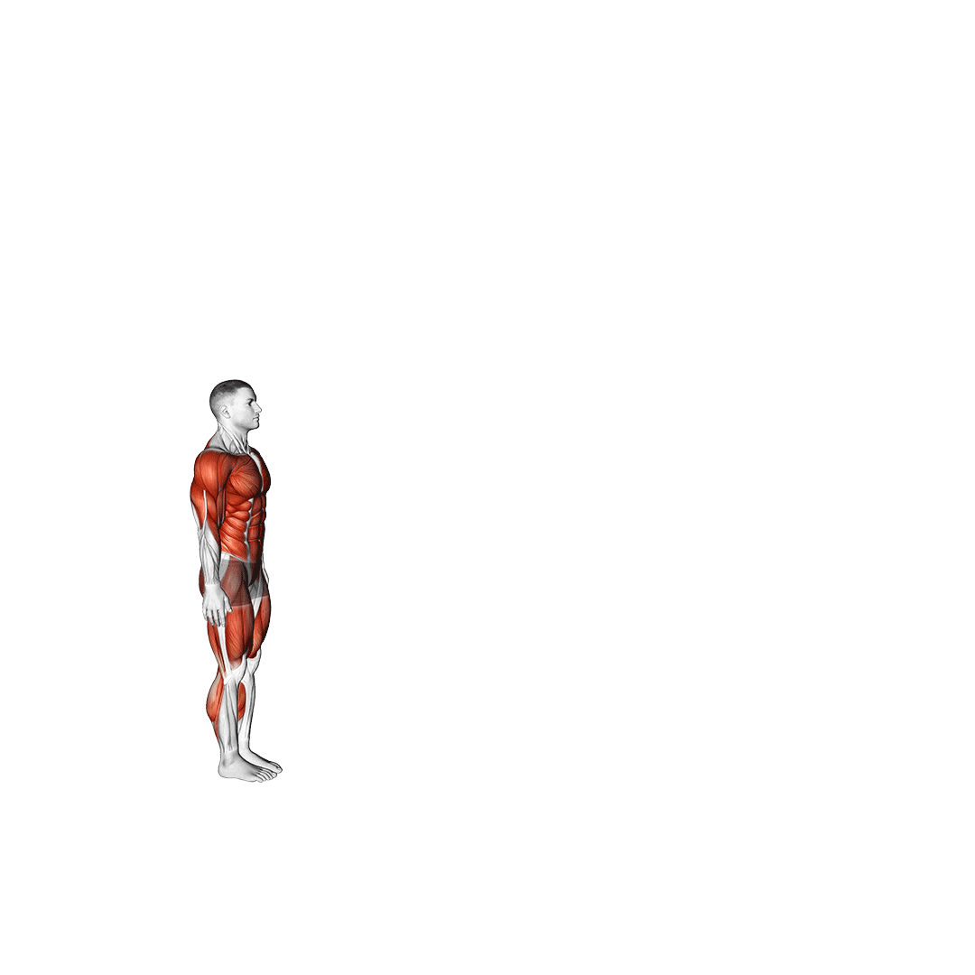 برپی با پرش بلند (Burpee Long Jump) — حرکت کل بدن (آموزش تصویری)