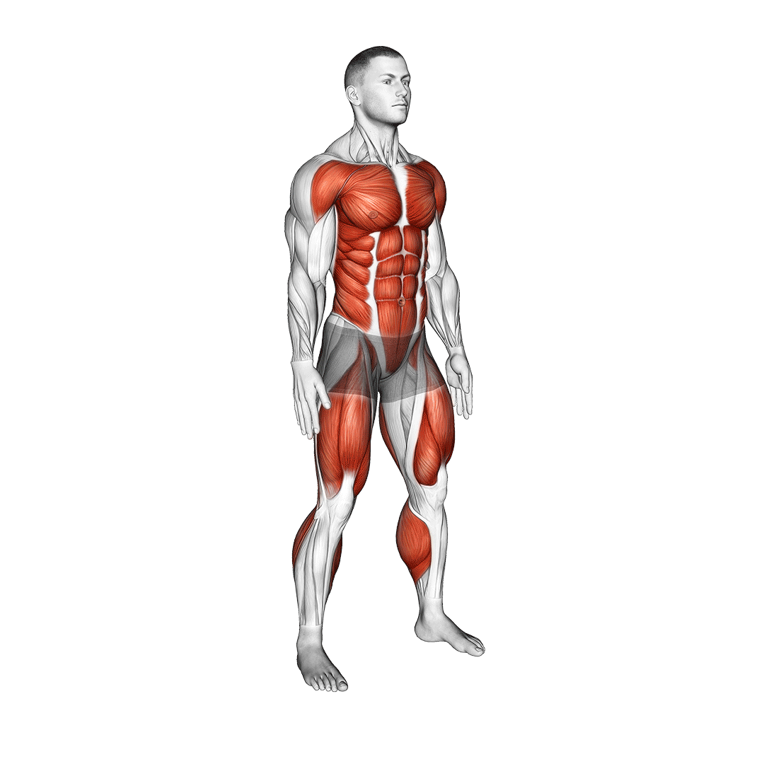 برپی اسکوات (Burpee Squat) — حرکت کل بدن (آموزش تصویری)