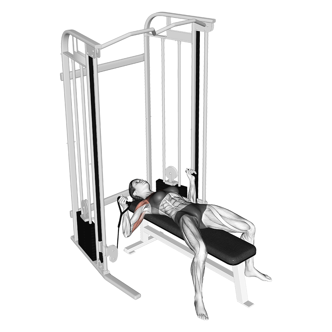پرس سینه سیم‌کش (Cable Bench Press) — حرکت سینه (آموزش تصویری)