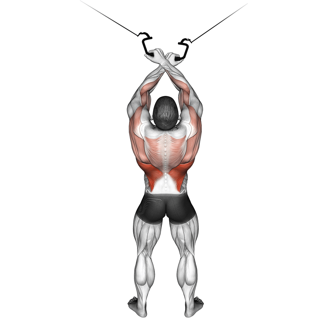 زیربغل سیمکش کراس (Cable Cross Over Lat Pulldown) — حرکت زیربغل (آموزش تصویری)